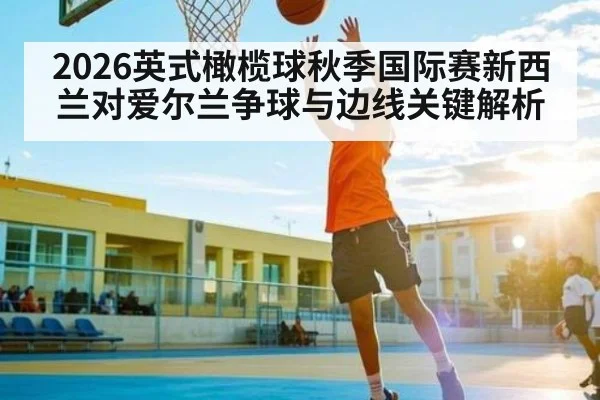 2026英式橄榄球秋季国际赛新西兰对爱尔兰争球与边线关键解析